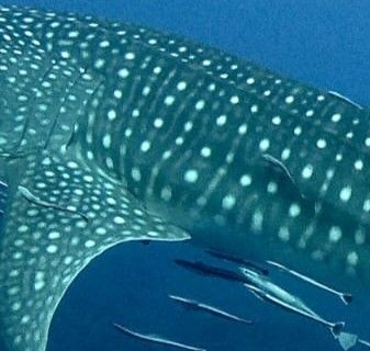 d18fcec6-09aa-42a1-9e55-3550d879b2eb