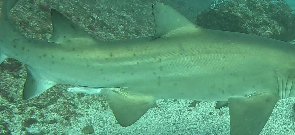 f951a8da-8a84-45a5-bfb6-e12a8b085753