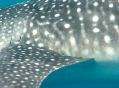 9dbfe800-f280-47f2-9509-406f5c00e8a4