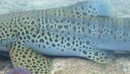 f0efb14e-3624-4edc-b44c-b9a154f0d7c6