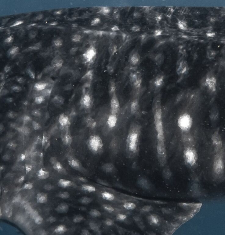 b5fbc1f8-8fa1-45f7-9f42-c83a9ab6119e