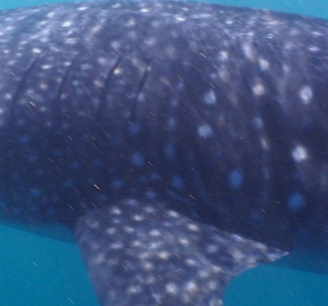 7a6d7be1-9352-4c71-af5b-a500dccaed13