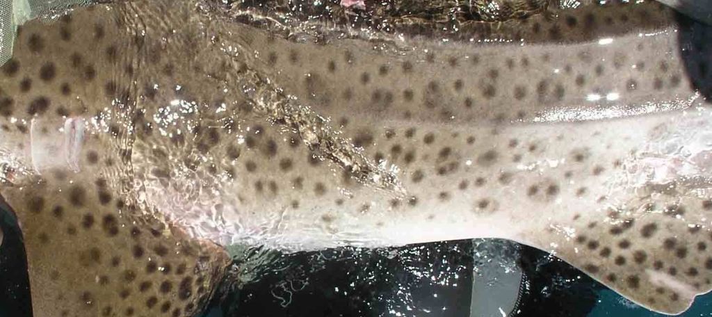 6e44dee9-f201-44ab-9ae6-bbd81a1e07c0