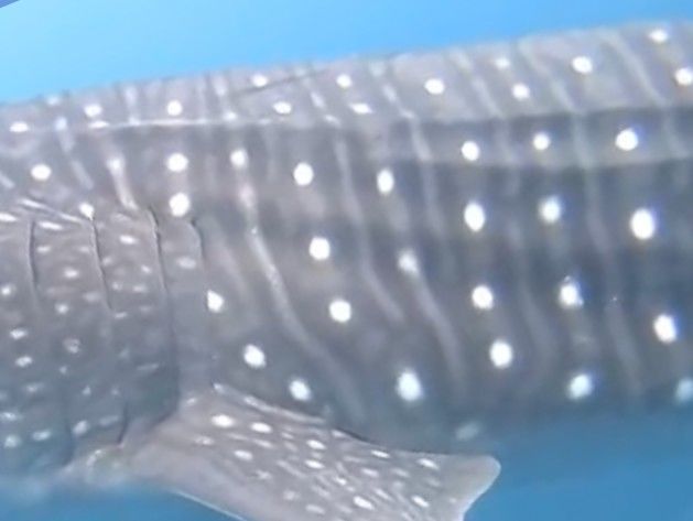 8d3beb4e-9ea3-404f-b5d9-6b52b3809bec