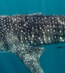 6655100f-8c0c-4c6f-9971-470db162e6cb