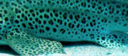 06e18980-f7f0-4b6d-9a3a-bd886e7a7ba6