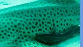 ed3db417-b611-4dfd-90cd-ce969bf144c3