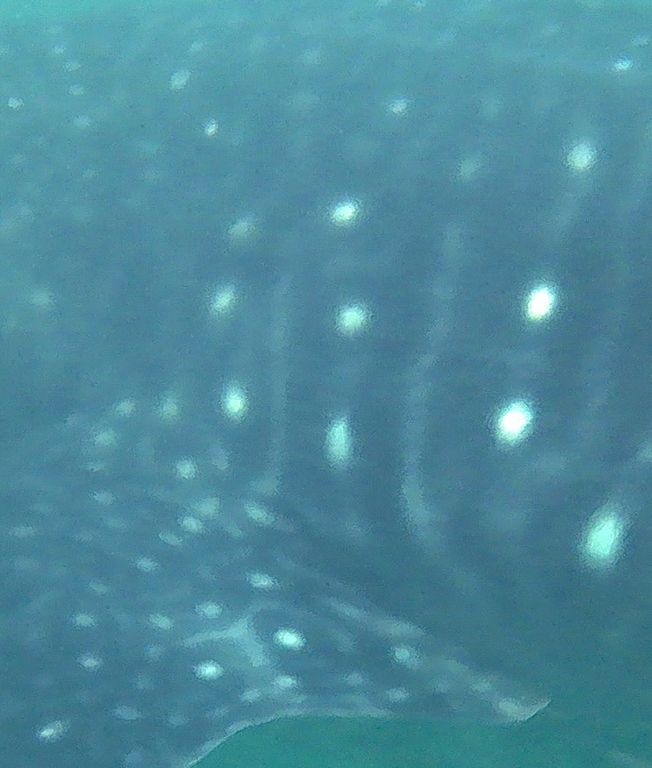 2da854e6-6d19-43ab-9ec2-b1e0bba886ff