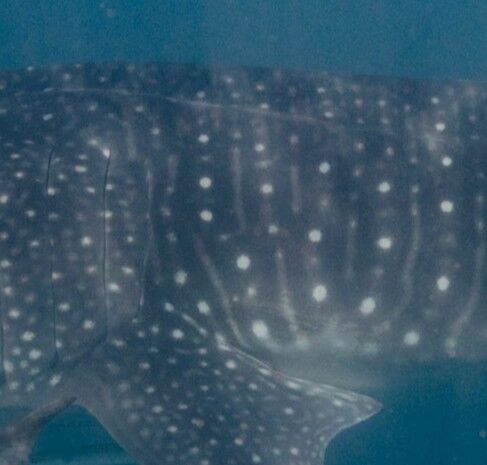 51c03f52-c4ed-4e33-a649-28bf2110a0e2