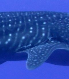 95df8eb9-4b2f-4781-ab7c-520198363234