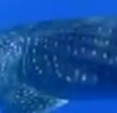 95df8eb9-4b2f-4781-ab7c-520198363234