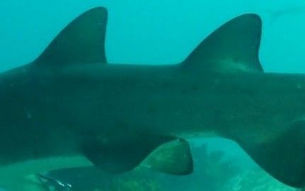 c3c6f44c-4614-4400-ae96-5c83ce794558