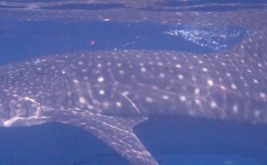 dec12996-e2eb-4870-b5c3-f633e090df3a