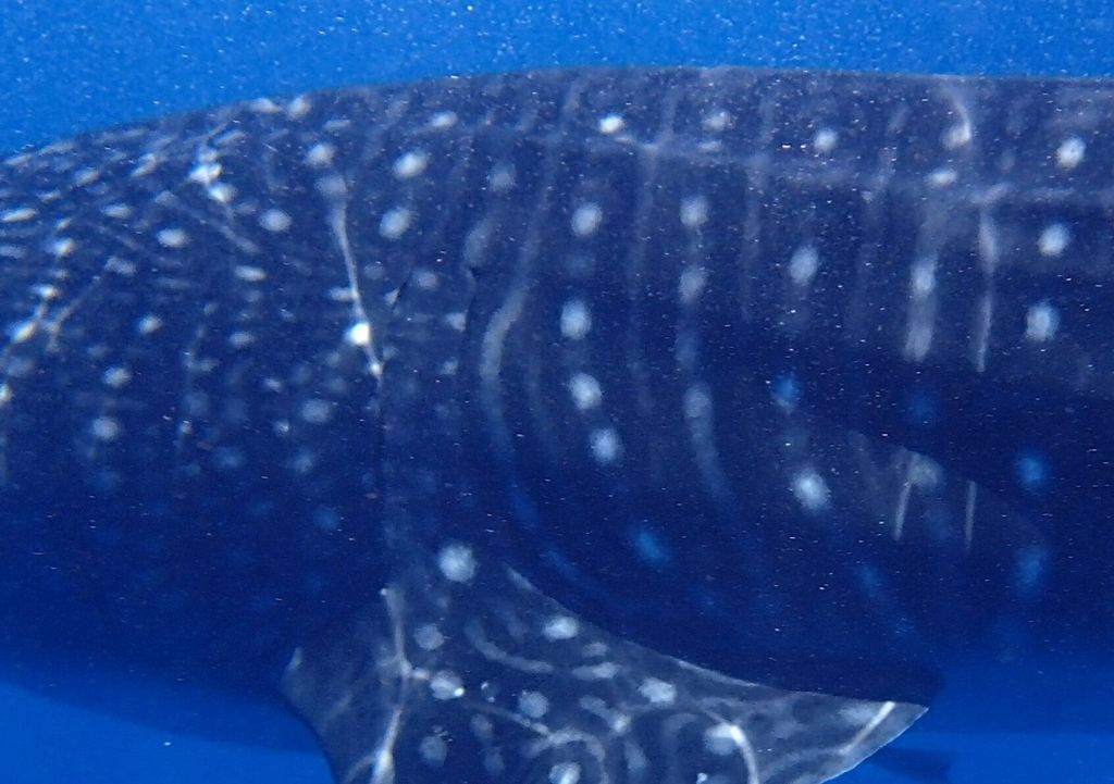 a6fe5510-a3d0-4bb6-b8b7-ae8465d1f2bb