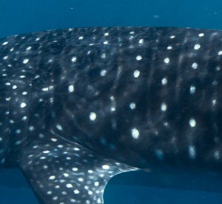 5ac80eb5-7ba8-47a4-b694-d82766787f7c