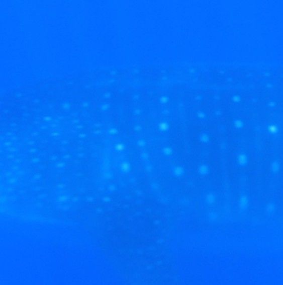 5d89c566-2621-4073-a715-fc34e50f26df