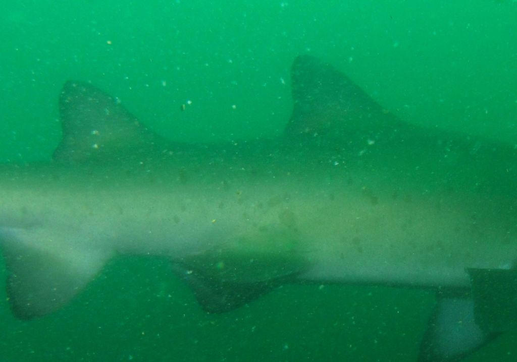 36b32498-8bb1-4dca-b229-1cb523215a34