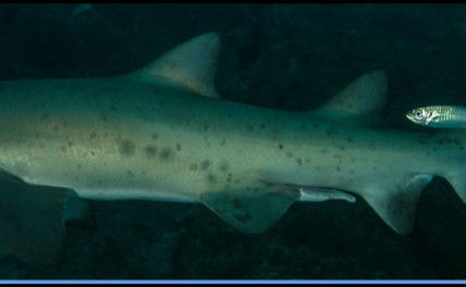 886e36b0-328e-496e-8da6-6f3c76ba0c91