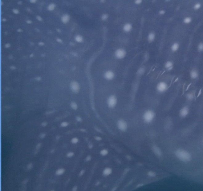 87b77126-0a98-41af-a8ef-2ede4a5a0d7b