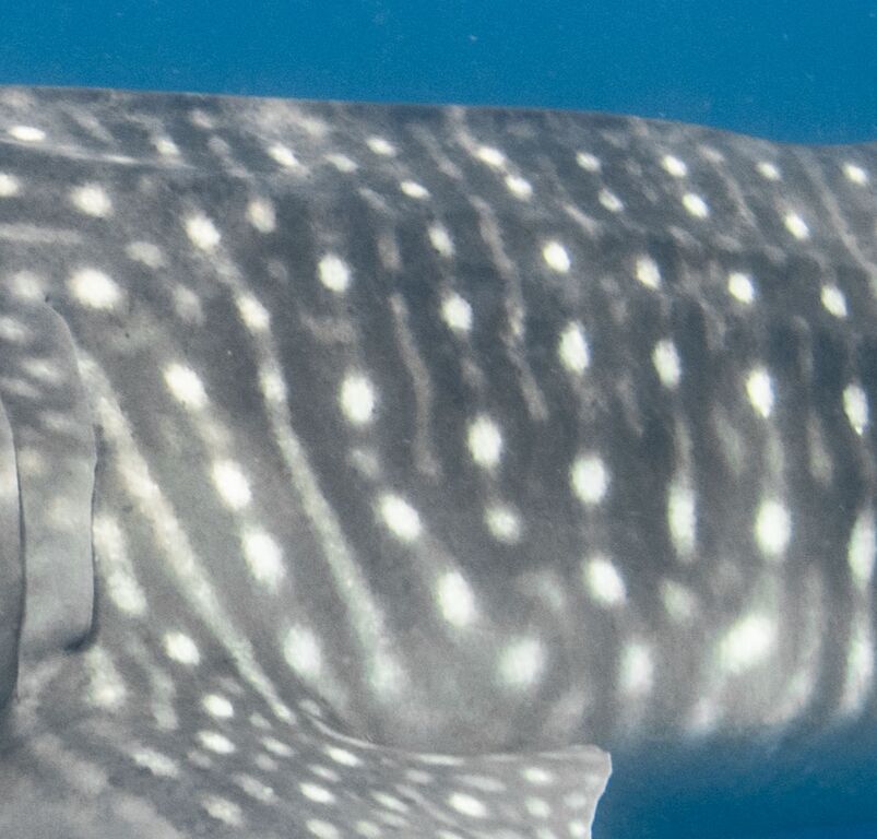 0abbf7dc-de81-45a1-a75d-454537278721