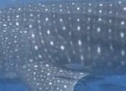 6a3d58f9-b30b-4997-a0be-0e6fce80ac64