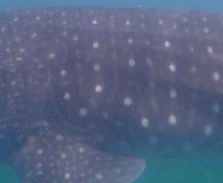 103fe0b7-bce6-4694-86db-c5bb5ba37466