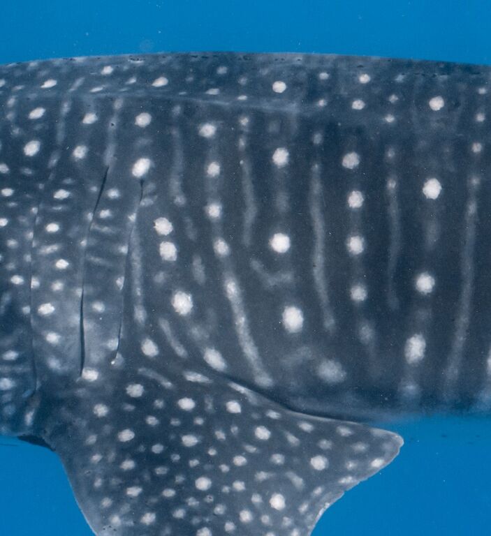 6fce954c-e4c1-4248-8fb8-2301ac84da05