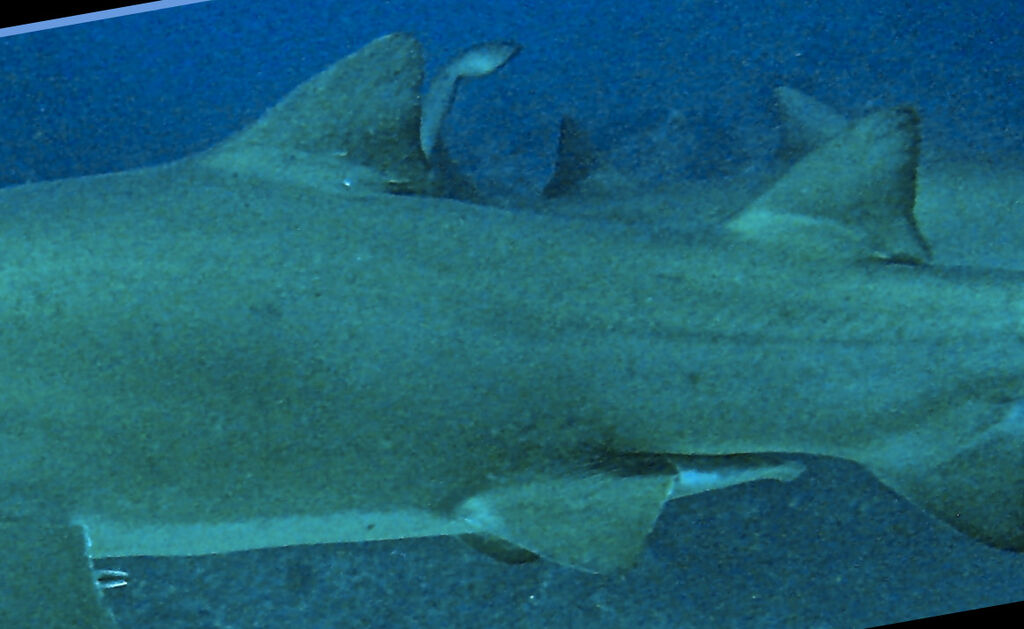 170526dd-8038-4bd6-876c-ea42a45aba53