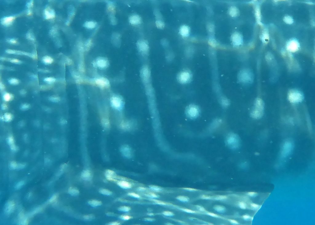 03bc4c08-a234-48e0-ad6b-d89b2529b2b1