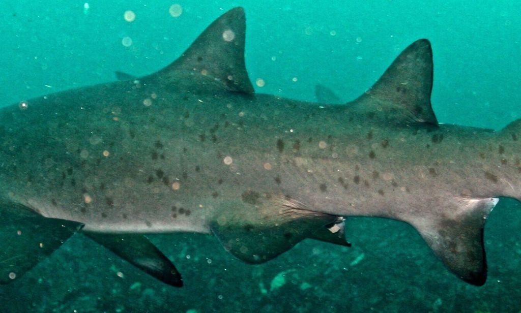 1bd6abbb-a61a-46ee-96ec-87dfa014792f