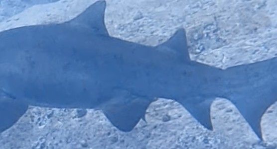 aefa7756-6249-49df-b4e8-147f04377709