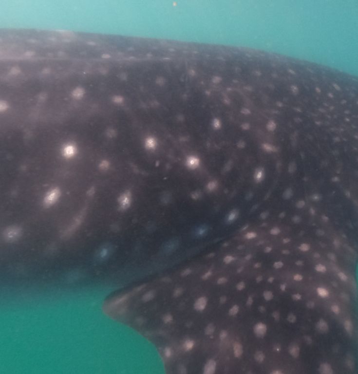 22b176ba-cc9d-48e9-8968-7fd4a7133c20