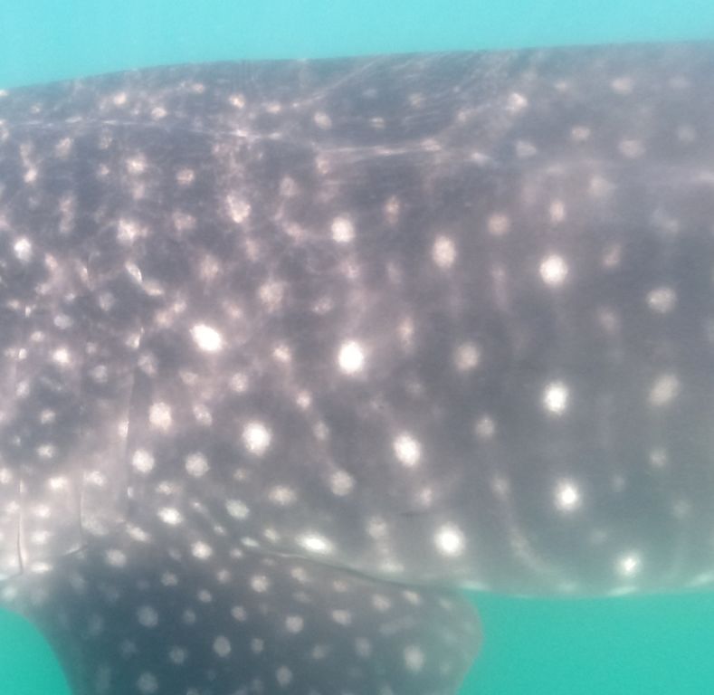 22b176ba-cc9d-48e9-8968-7fd4a7133c20