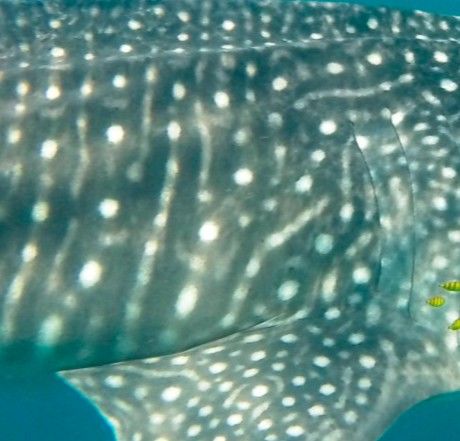 9dbfe800-f280-47f2-9509-406f5c00e8a4