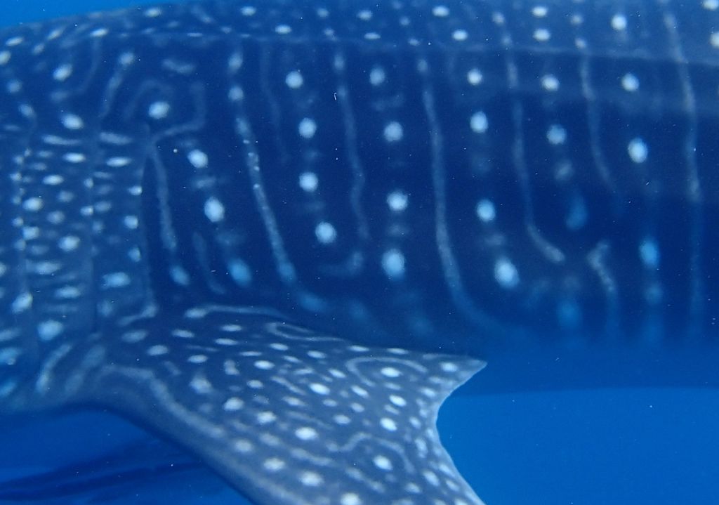 a0dd0754-cdc5-4f64-8a34-f752b8766432