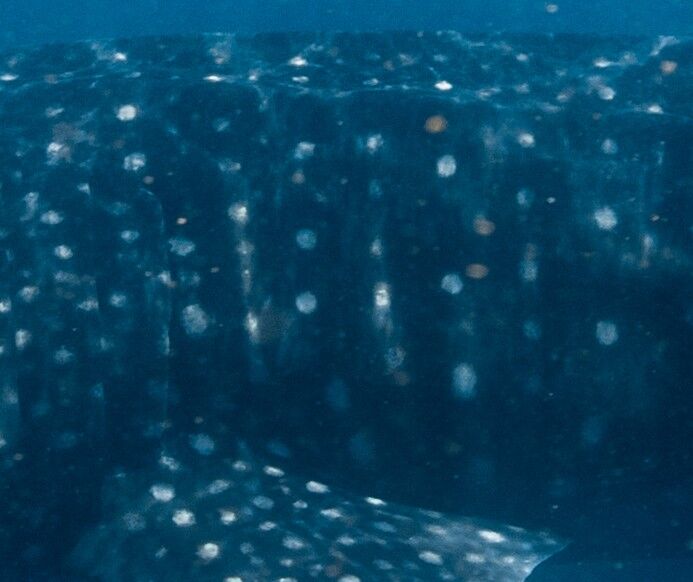 5ea467d6-1189-4b20-bb62-5b6354cb68bf