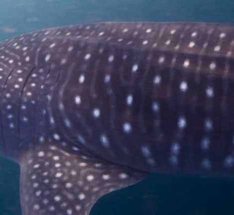 af9b00de-ac5e-497d-a2db-7e6129909311