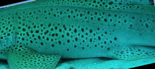 f7d28a98-6907-4cf0-bc1b-1a5be83e0691