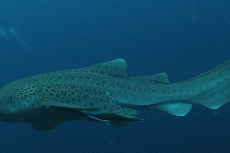 c7b1e7a4-38b0-46d1-8cc3-73570ad9913b