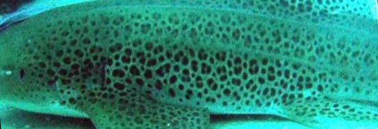 459c9ed8-e2dd-457e-ba8c-2ad09f48ad1d