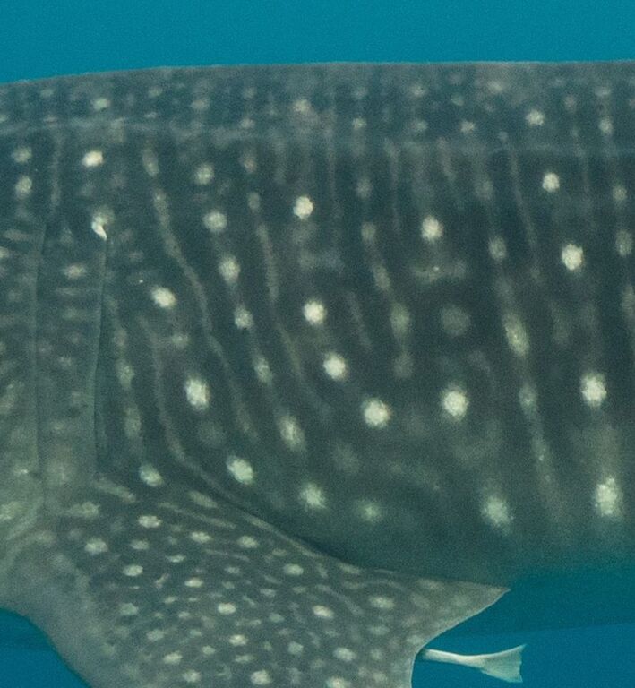 7430b944-dbcb-424f-bb3d-49f5a2bdb34f