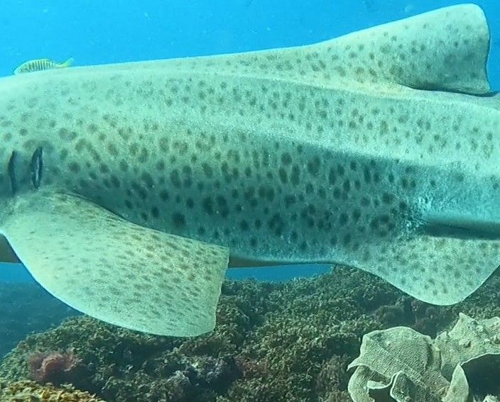 3aa1257d-81b4-488d-8deb-84c082645632