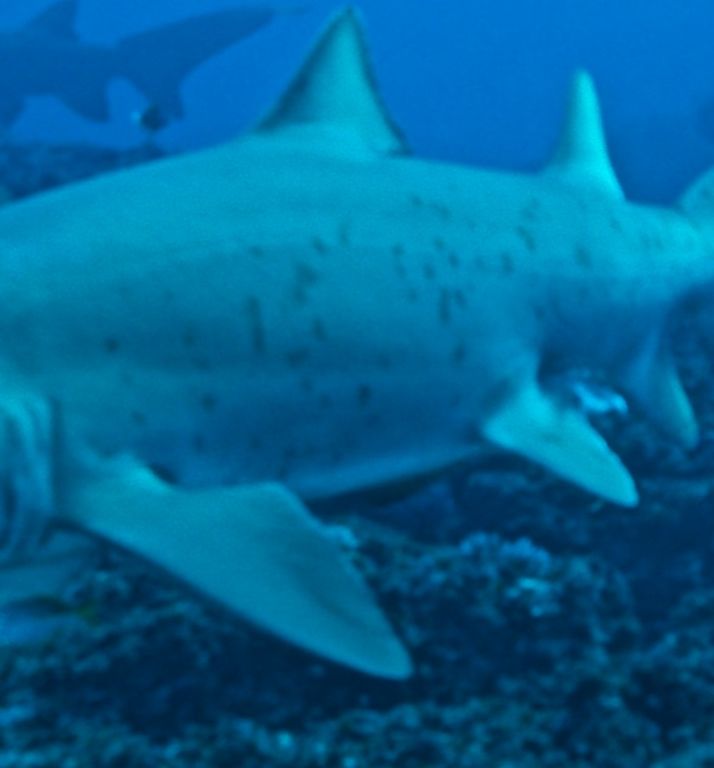 66f209be-a51a-403c-881c-bf0e60c417ab