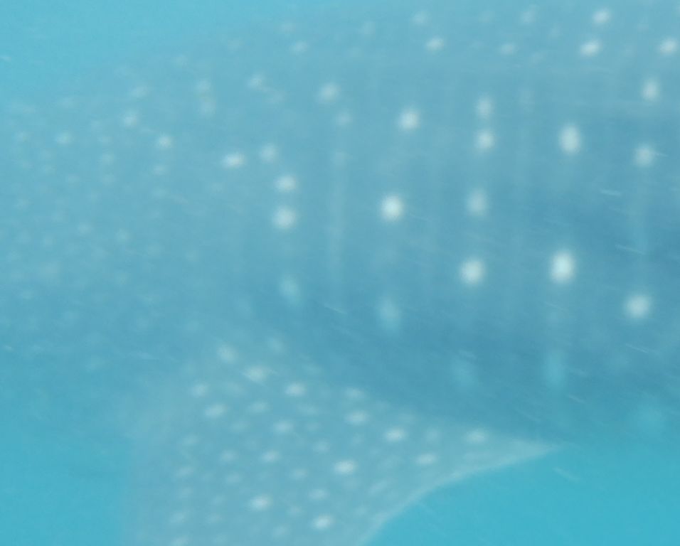 d81eb7c5-78be-42aa-9c0f-c6078c9a3a12