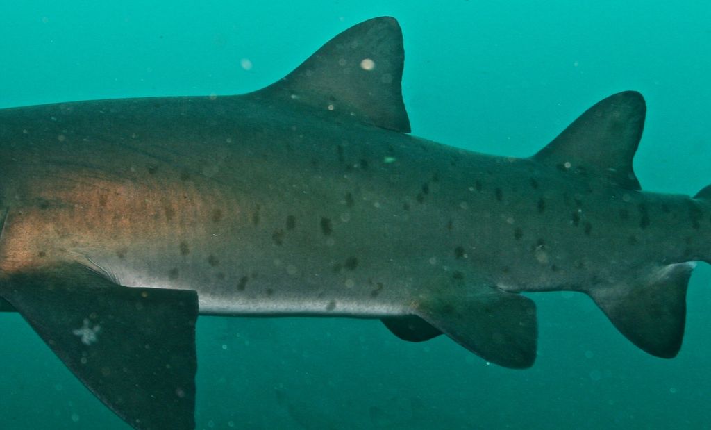 811bbb93-78c3-46f2-a9fa-5935c301db80