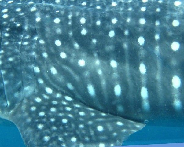 a8f62c4e-e471-42a0-8be8-3cdc4732ba34