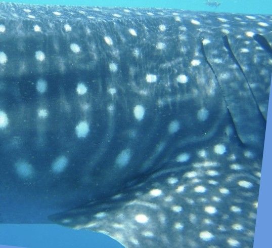 a8f62c4e-e471-42a0-8be8-3cdc4732ba34