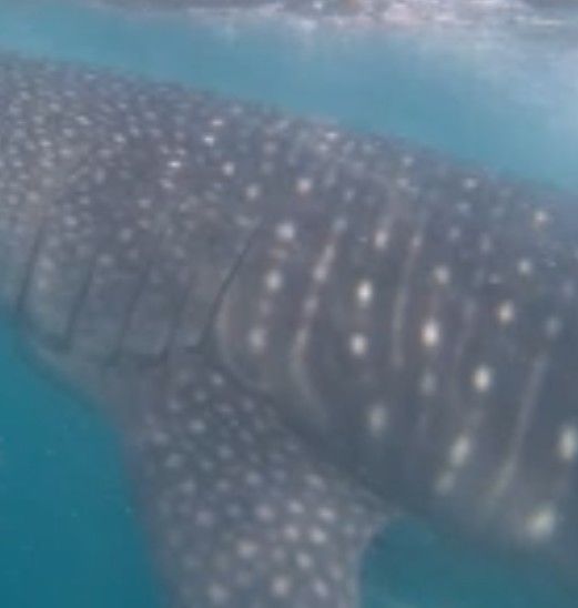 5cc20e7a-8b68-43f3-ab1c-8417579afd5b