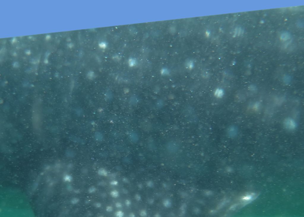 05581c2a-5ab9-49cf-9d5b-424c6064d9fb