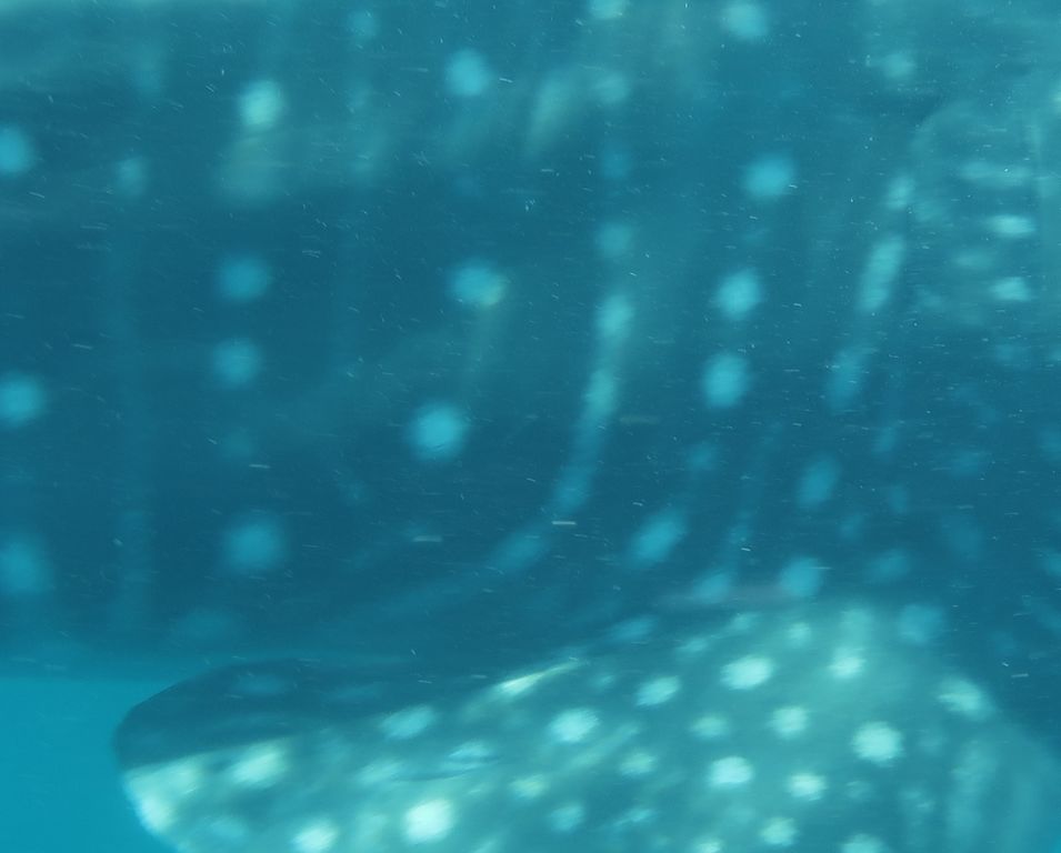 43119d84-ee7f-48b5-a9b7-7c3f4656ac83